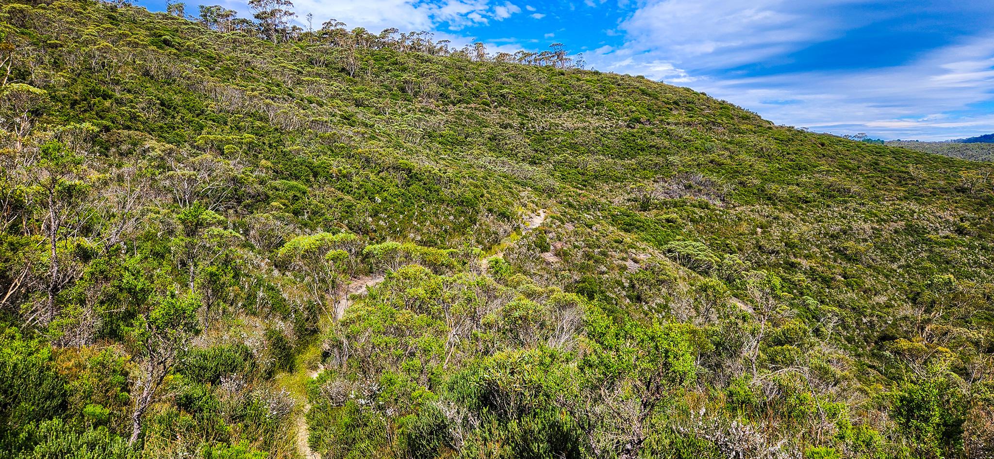 Cliff Top Track